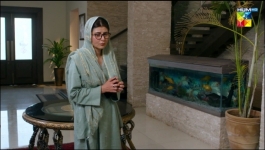 Meesni - Episode 67 - 27th April 2023